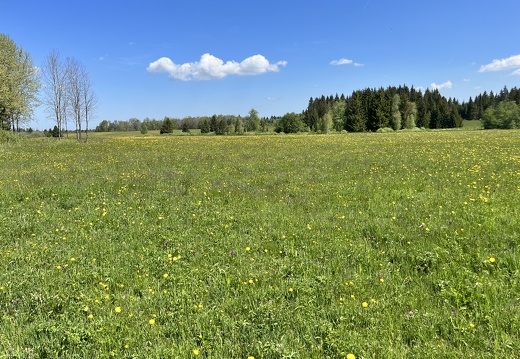 23-05-27 11-27-49 5725